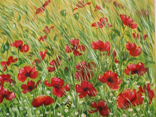 Poppies