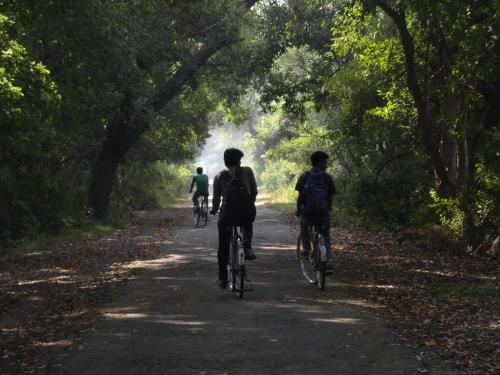 Direct access to the Tarka Cycle Trail