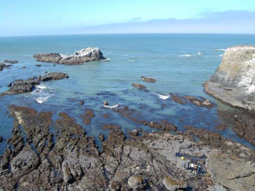 Coastal Walks