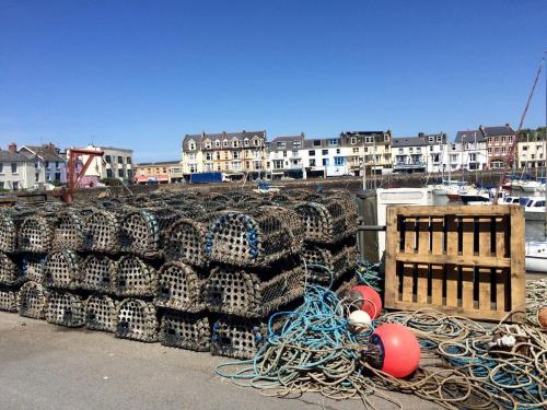 Ilfracombe Harbour